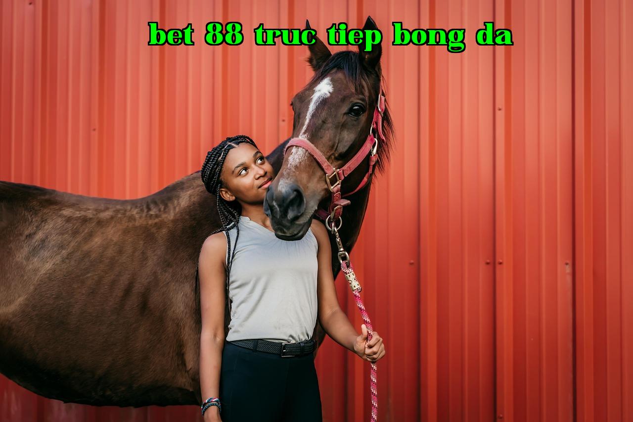 /imgposts/sp66hk65.jpg